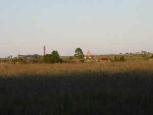 IMG_0021