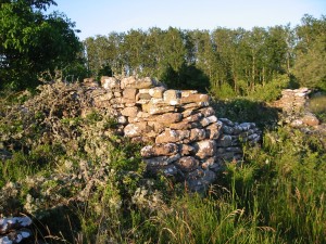 IMG_0023