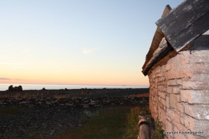 IMG_0141