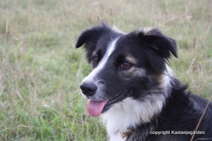 IMG_0369