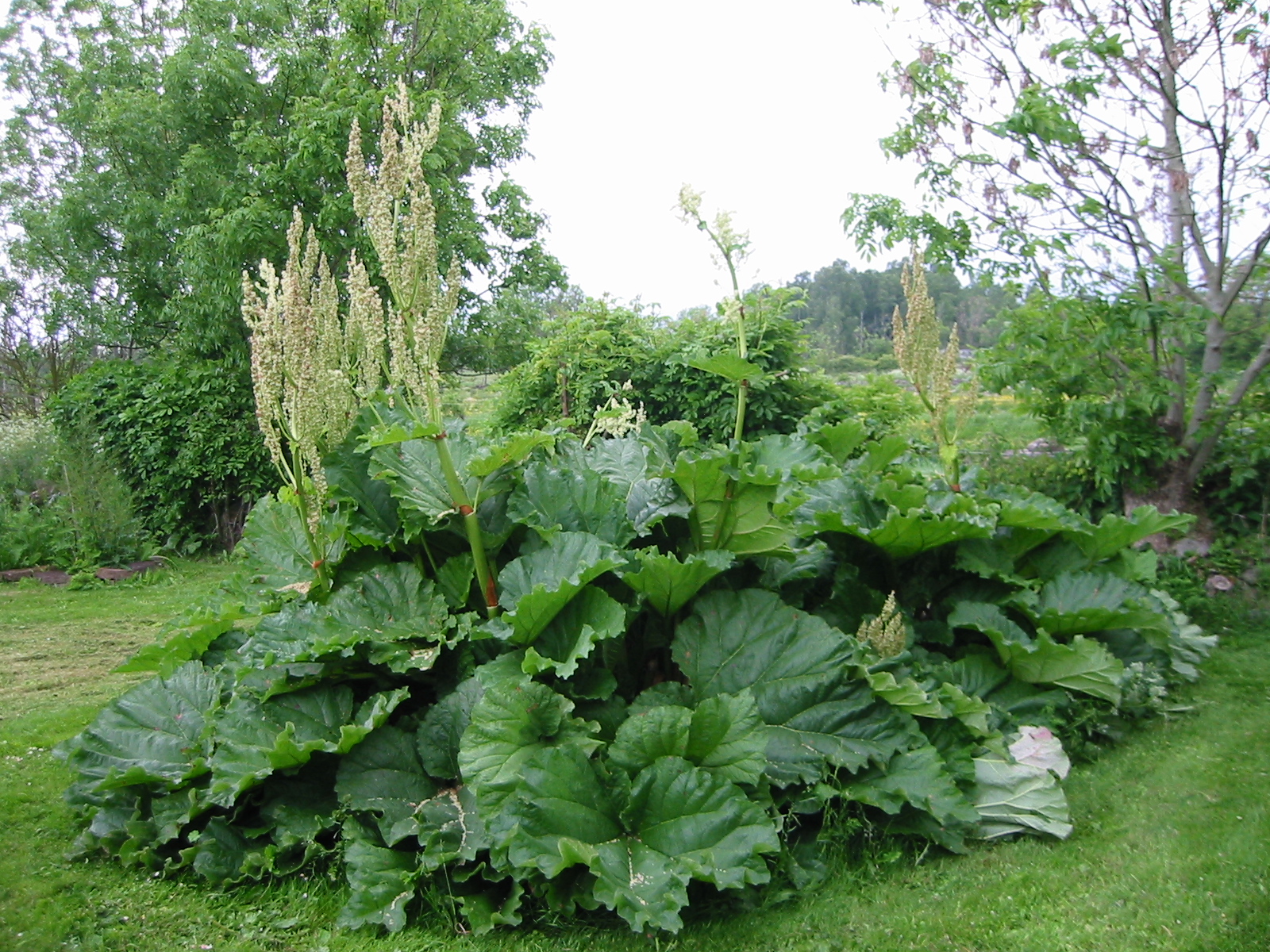 moving garden 