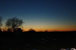 IMG_3327
